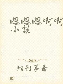 嗯嗯嗯啊啊高h小说