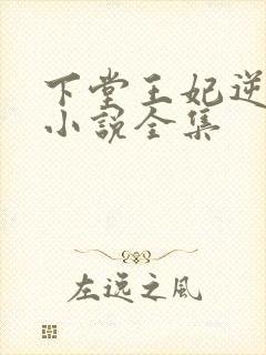 下堂王妃逆袭记小说全集