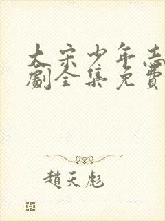 大宋少年志电视剧全集免费封面