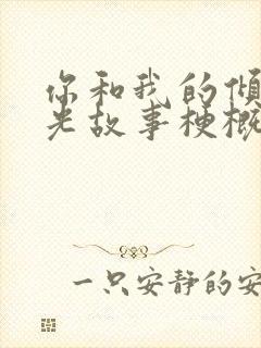 你和我的倾城时光故事梗概