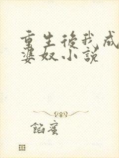 重生后我成了老婆奴小说