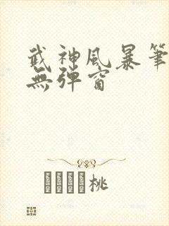 武神风暴笔趣阁无弹窗封面
