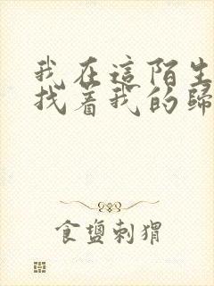 我在这陌生里寻找着我的归宿是什么歌