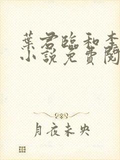 叶君临和李子染小说免费阅读