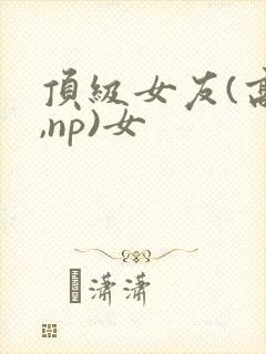 顶级女友(高h,np)女