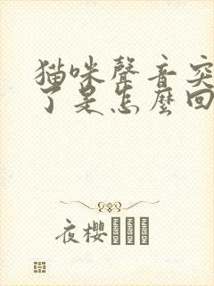 猫咪声音突然哑了是怎么回事