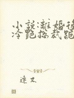 小说:离婚后,冷艳总裁跪求复婚