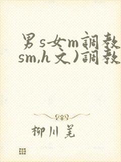 男s女m调教(sm,h文)调教小乳