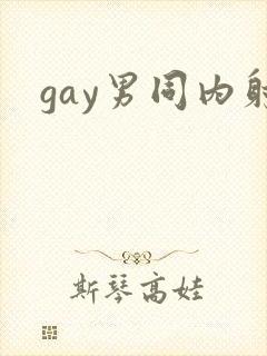 gay男同内射