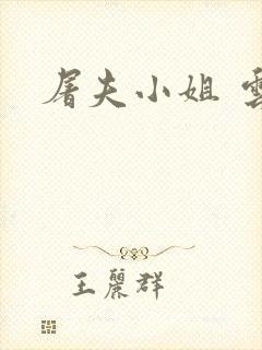 屠夫小姐 云播封面