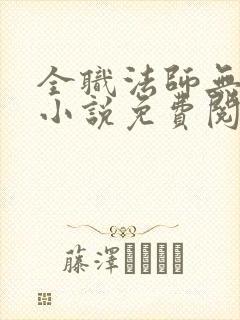 全职法师无弹窗小说免费阅读