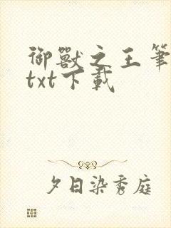 御兽之王笔趣阁txt下载