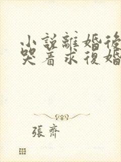 小说离婚后前夫哭着求复婚阅读