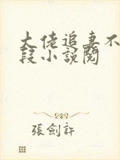 大佬追妻不择手段小说阅封面