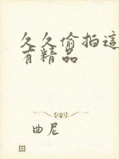 久久偷拍这里只有精品