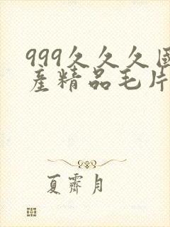 999久久久国产精品毛片