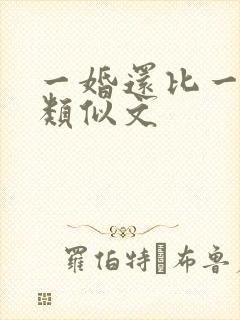 一婚还比一婚高类似文