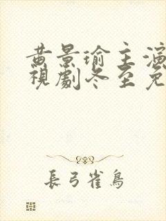 黄景瑜主演的电视剧冬至免费观看封面