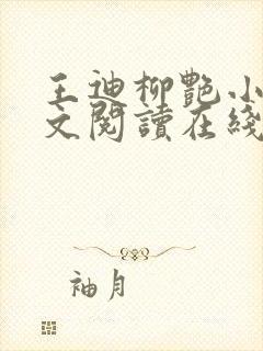 王迪柳艳小说全文阅读在线封面