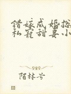 错嫁成婚总裁的私宠甜妻小说