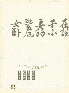 女警妻子在黑帮卧底的小说封面