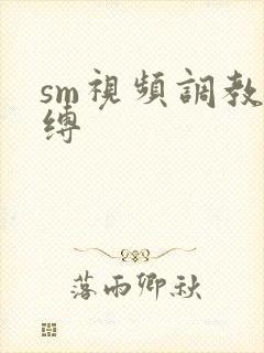 sm视频调教束缚