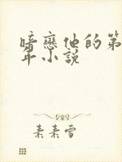 暗恋他的第十一年小说封面