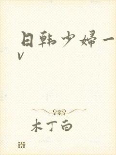 日韩少妇一级av