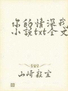 你的情深我不配小说txt全文下载