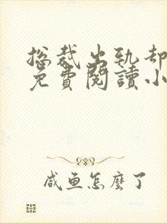 总裁出轨却成瘾免费阅读小说