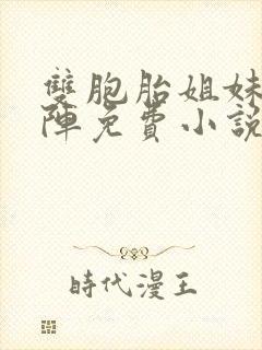 双胞胎姐妹齐上阵免费小说