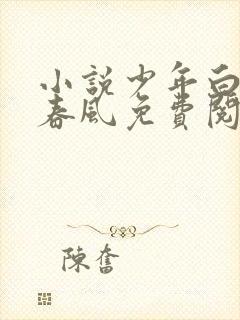 小说少年白马醉春风免费阅读全文