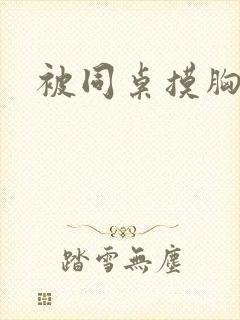 被同桌摸胸小说