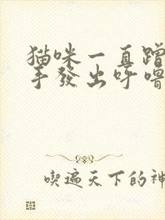 猫咪一直蹭你的手发出呼噜呼噜的声音封面