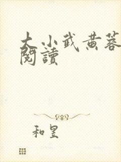 大小武黄蓉免费阅读