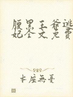 腹黑王爷逃跑王妃全文免费阅读