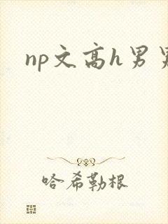 np文高h男男