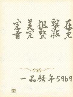 完美狙击在线观看完整版免费