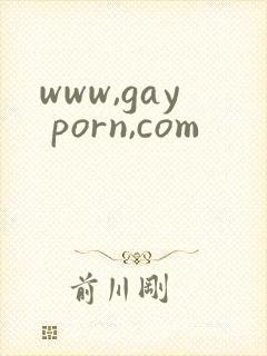 www,gay porn,com封面