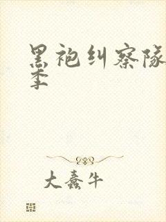 黑袍纠察队第2季