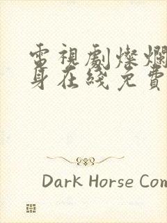 电视剧灿烂的转身在线免费观看