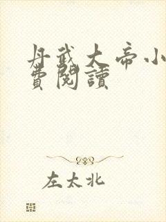 丹武大帝小说免费阅读