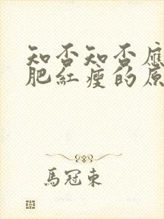 知否知否应是绿肥红瘦的原著