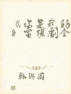 《你是我的荣耀》电视剧全集免费