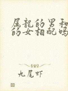 属龙的男和属虎的女相配吗封面