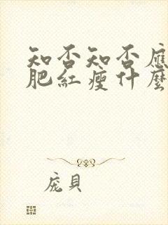 知否知否应是绿肥红瘦什么时候播出的