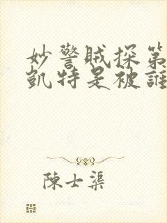 妙警贼探第一季凯特是被谁抓走的