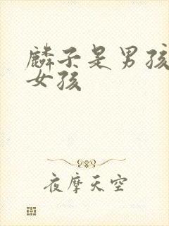 麟子是男孩还是女孩