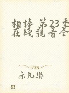 相棒 第23季在线观看全集免费播放