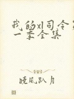 我的xl司令第一季全集